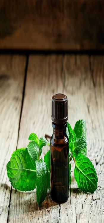 Peppermint Oil