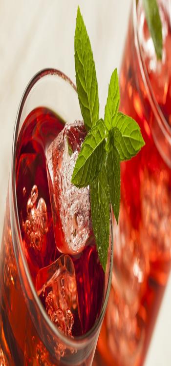 hibiscus-drink