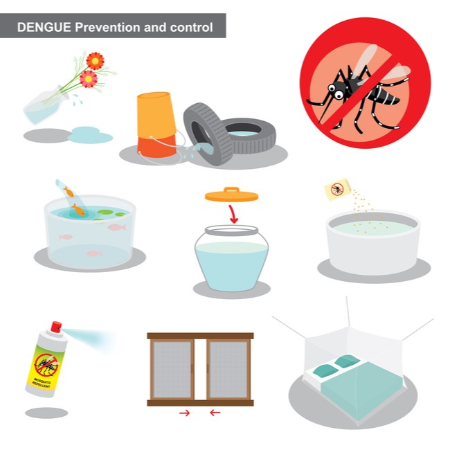 Dengue prevention NoBroker