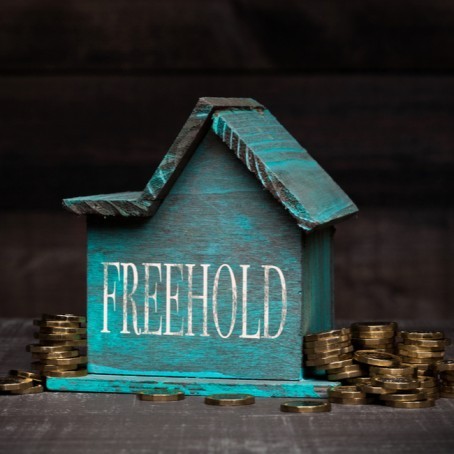  Freehold Property