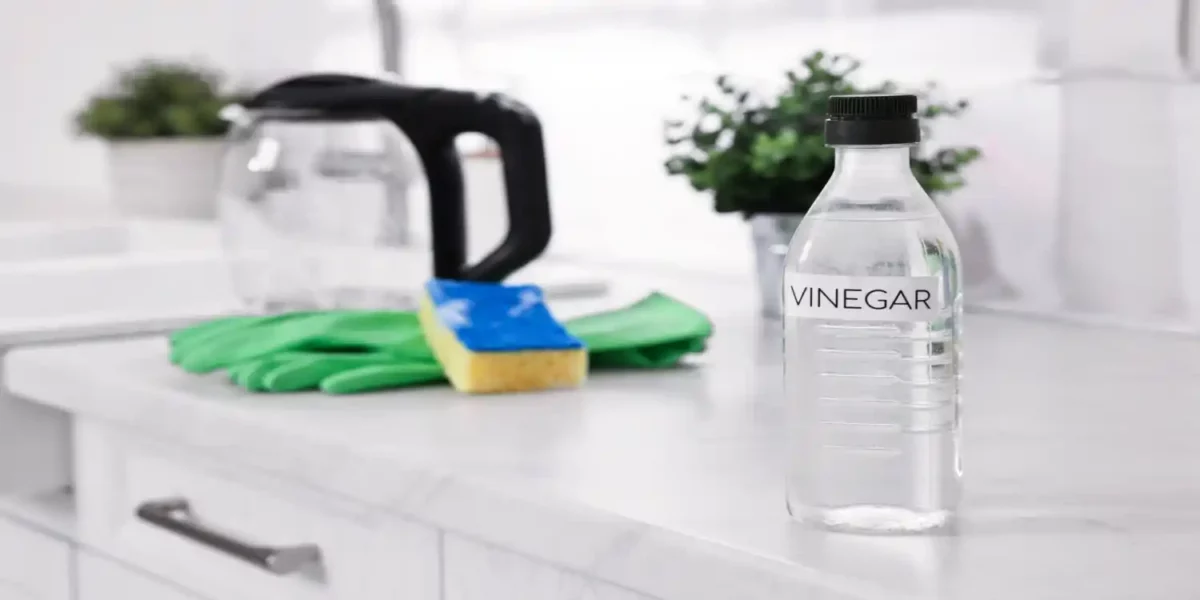 Vinegar and Dish Soap Fly Trap