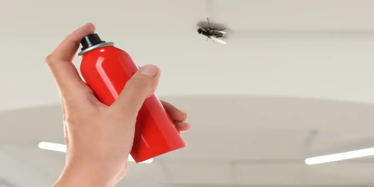 What Are the Signs of a Housefly Infestation