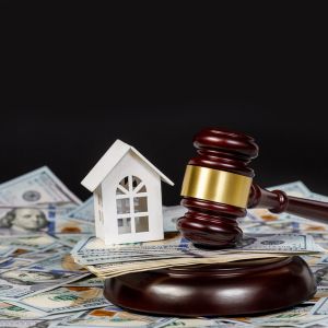 Rights Affiliated with Immovable Property