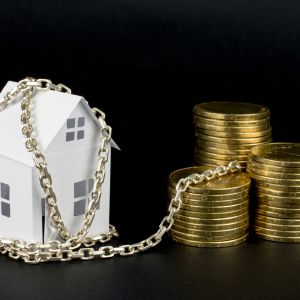 What is Immovable Property