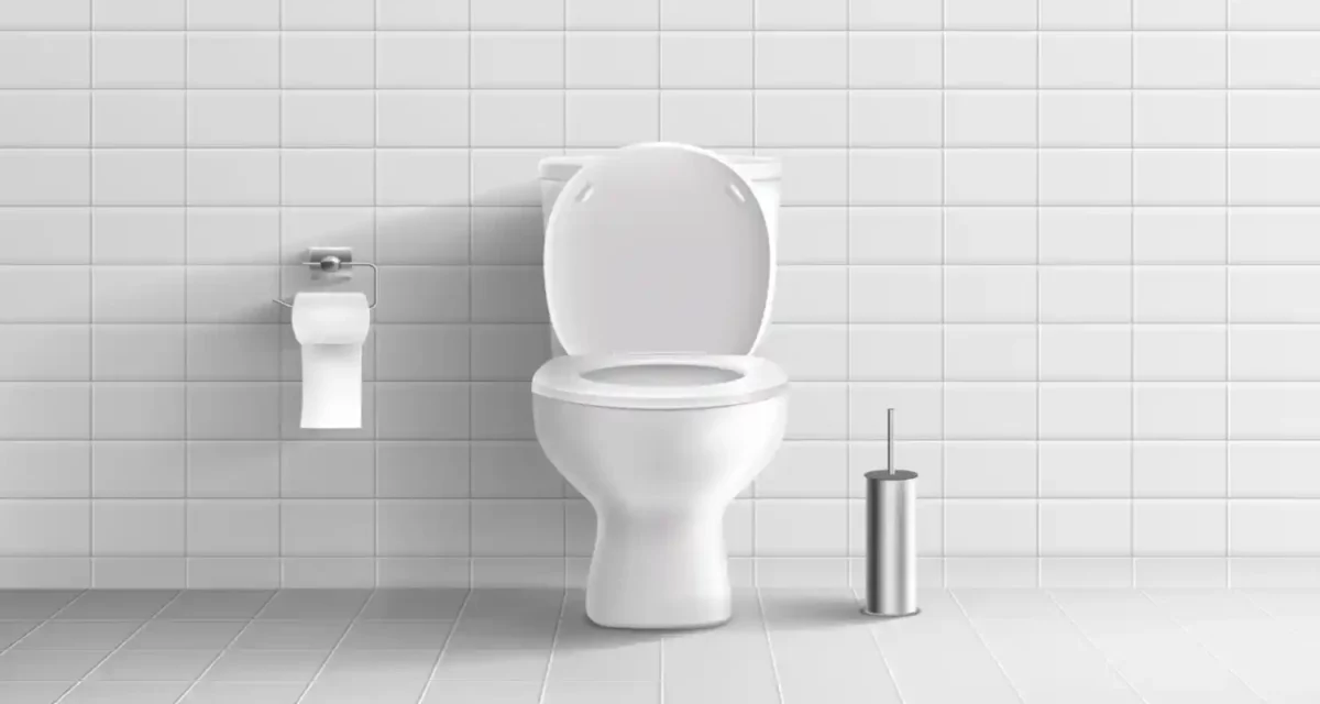 The importance of Vastu for your Toilet 