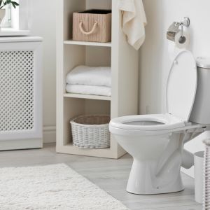 Toilet Vastu for an East-Facing House