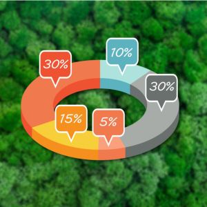 ownership fractional