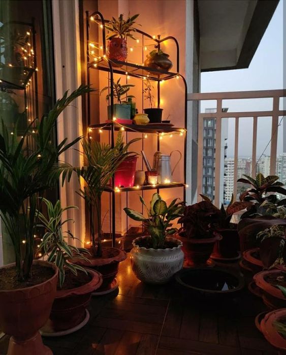 Use Potted Plants For Decoration