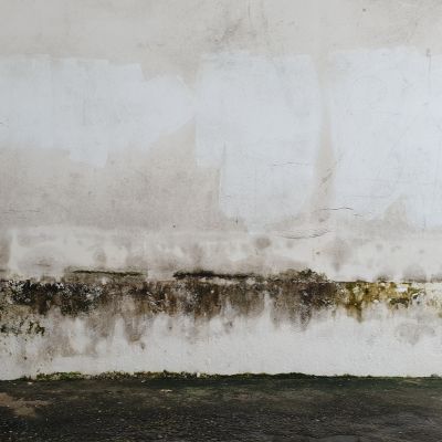 How Does Wall Seepage Affect Your House