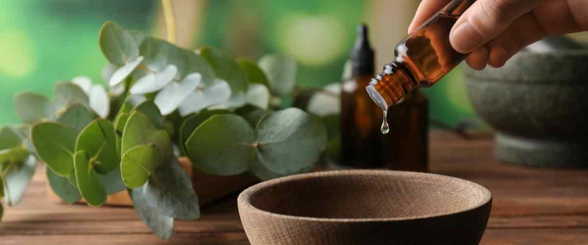 Apply Essential Oils to the Skin to avoid  Mosquitoes 