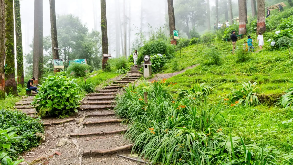 dhanaulti a place to visit near gurugram