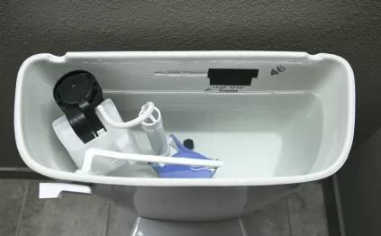 clean western toilets