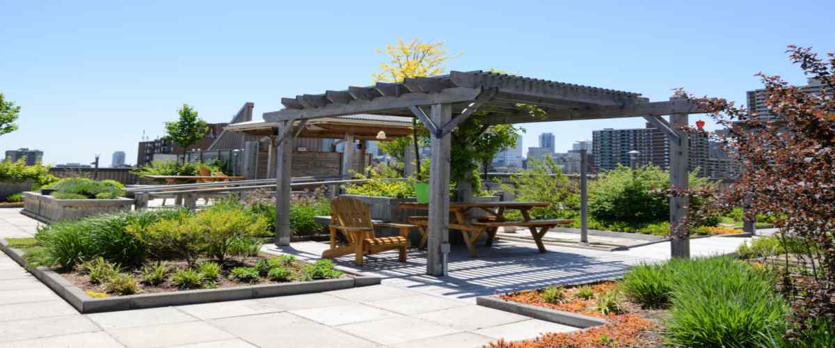  Rooftop Garden Ideas 