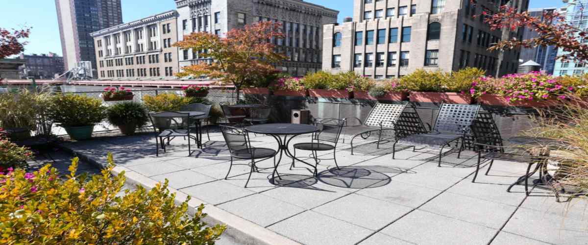 Vibrant rooftop garden