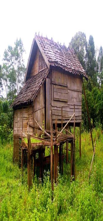 Why Are Stilt Houses Built Above Ground Level?