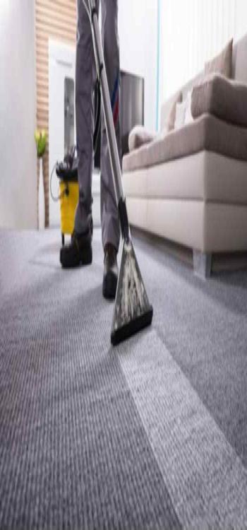 Best Carpet Cleaning Services In Mumbai 