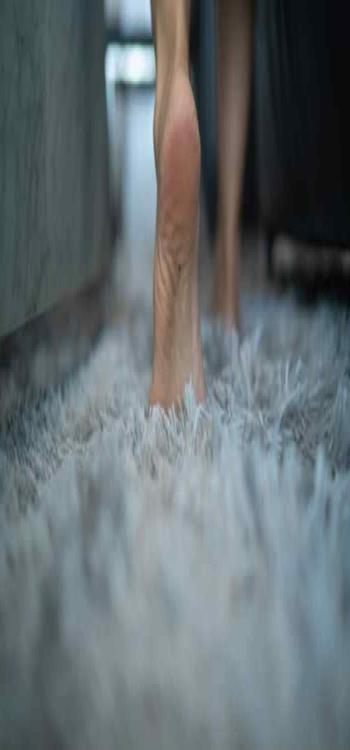 Best Carpet Cleaning Services In Mumbai 