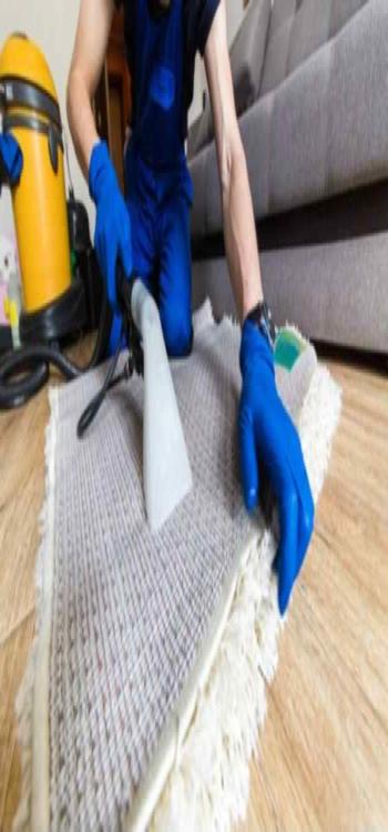 Best Carpet Cleaning Services In Mumbai 