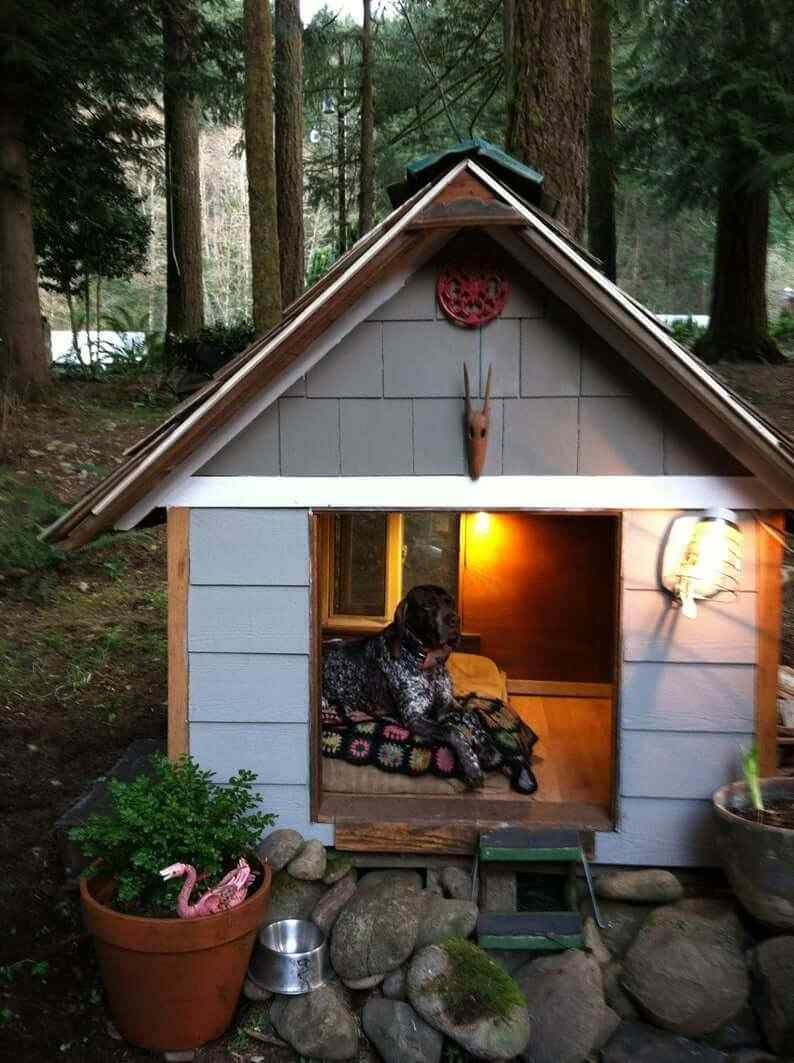 Dog House Ideas