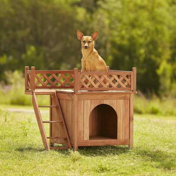 Dog House Ideas