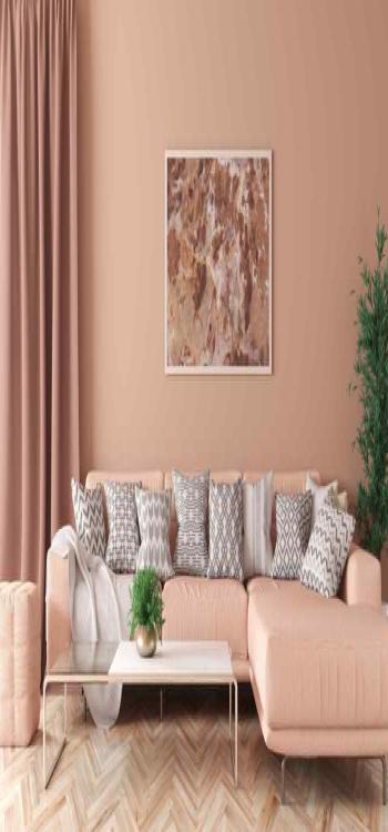 Type Of Furniture Colour For Your Home In 2023