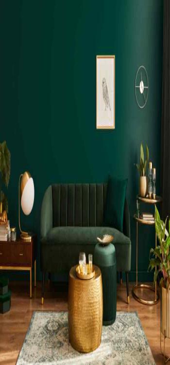 Type Of Furniture Colour For Your Home In 2024