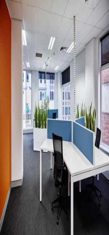  Office Plant Decor