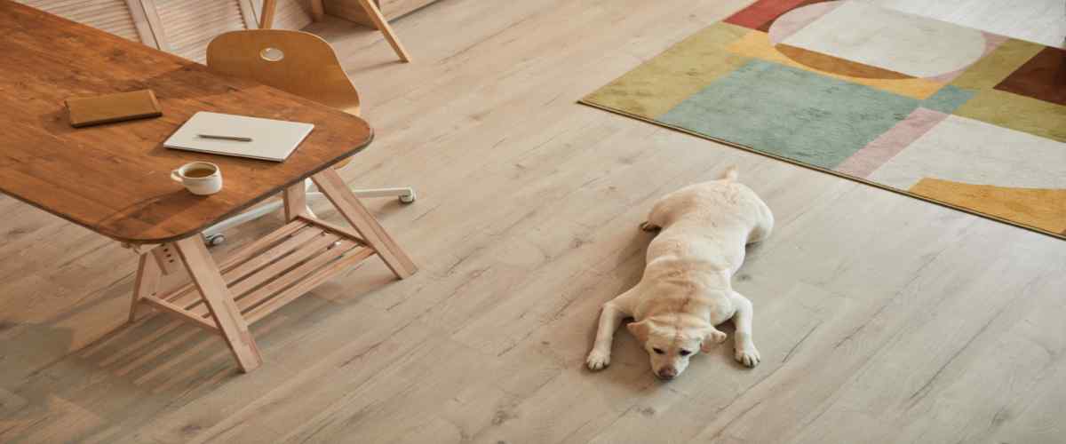 Parquet Flooring 