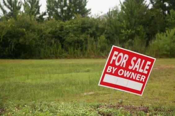 capital gain on sale of agricultural land