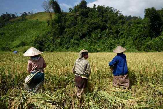 capital gain on sale of agricultural land