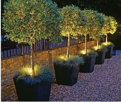  Garden Lighting Ideas