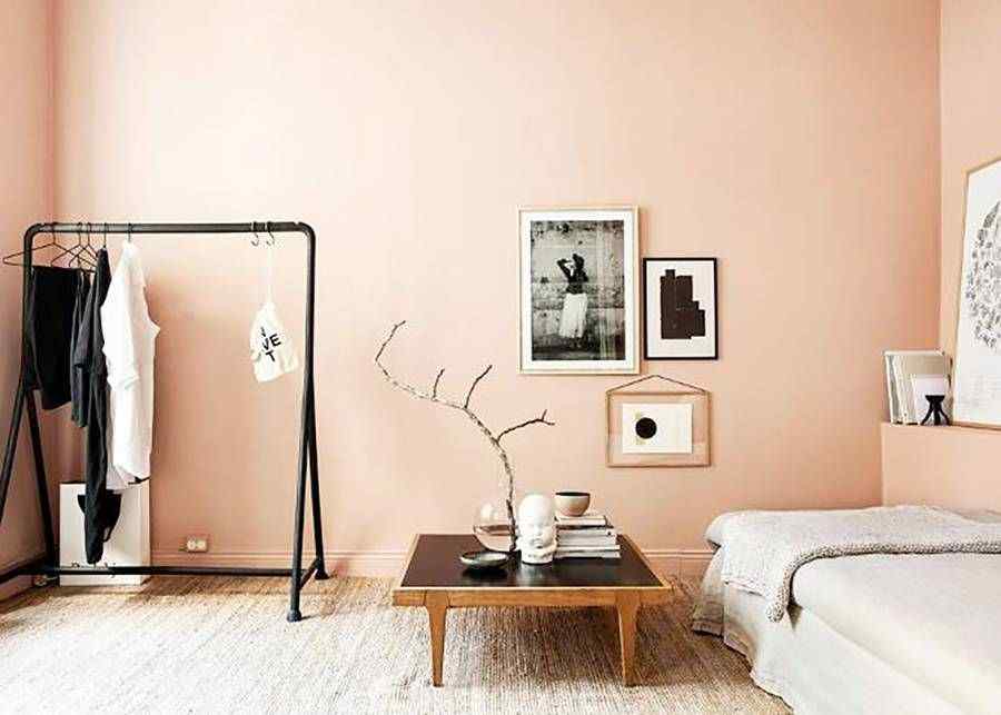 Create Contrast: Peach Colour Combinations for Walls for a Bold Look –  Asian Paints
