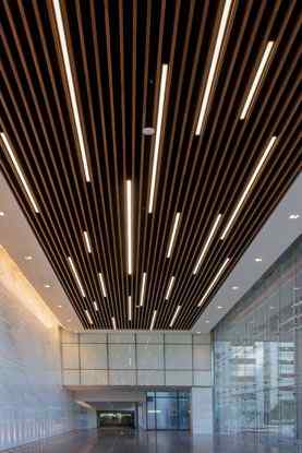 Fibre Ceiling Design