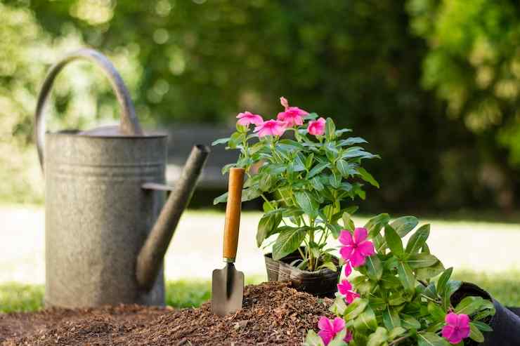 Gardening Essentials & Tools