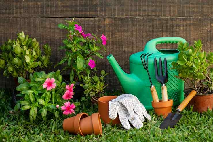 Gardening Essentials & Tools