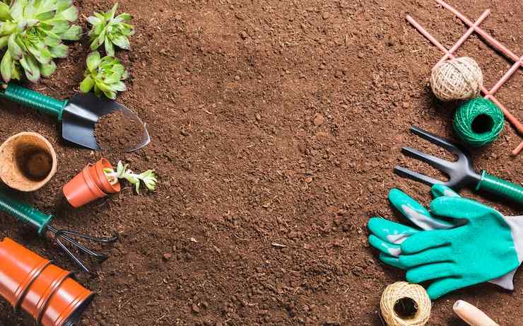 Gardening Essentials & Tools