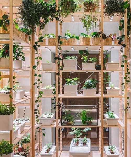 Biophilic Design