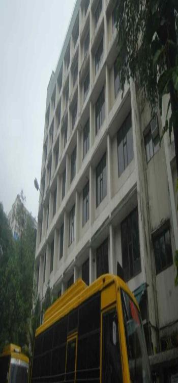 Schools in Worli