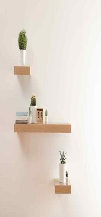 Corner Shelf Ideas