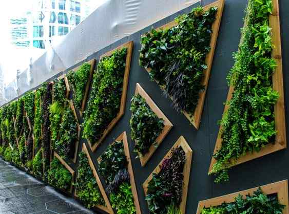 Biophilic Design