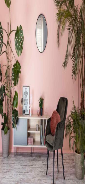 Asian Paints Pink Colour Code NoBroker Painting Services