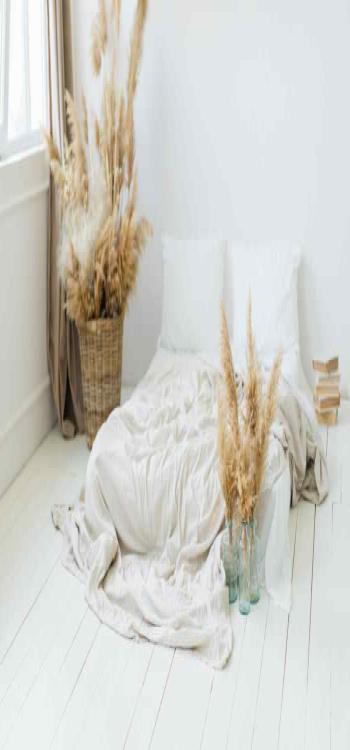 Pampas Grass Decor