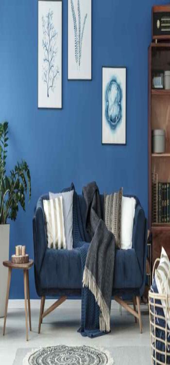 Top 20 Peacock Blue Colour Combinations For Your Walls 2024