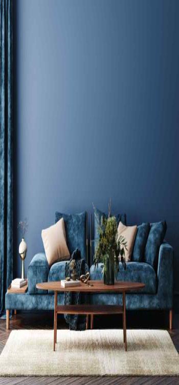 Top 20 Peacock Blue Colour Combinations For Your Walls 2024