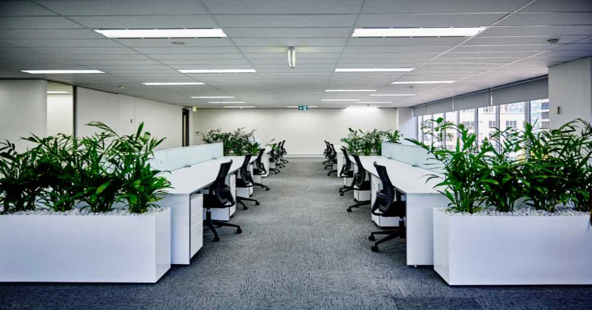 colorful-shelves-with-plants-line-a-bright-wall-in-a-compact-indian-office