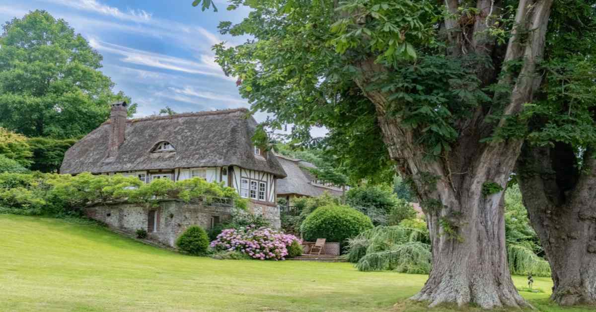 thatched a frame house design in village