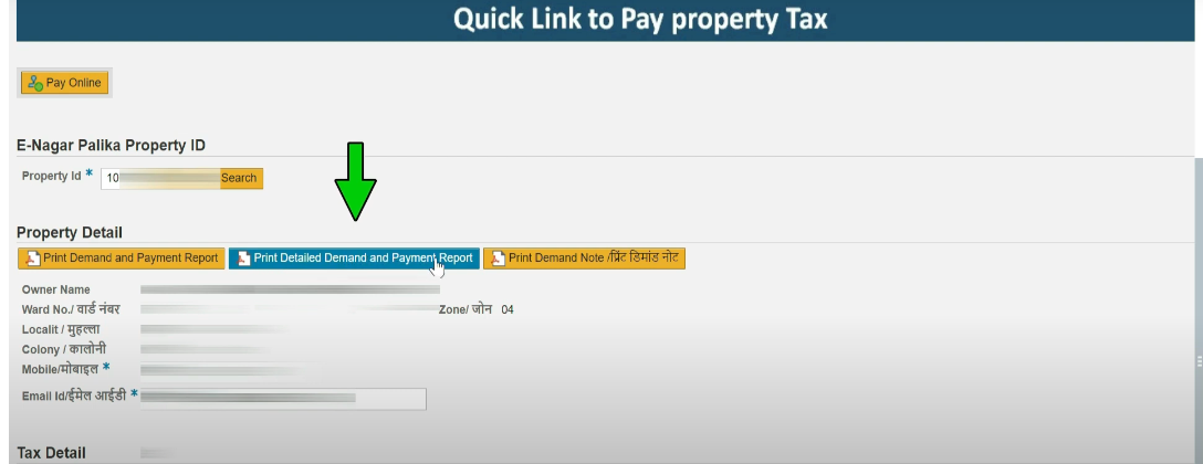 print detailed demand and payment report page