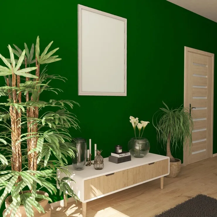 green and white room colour combinations for hall room