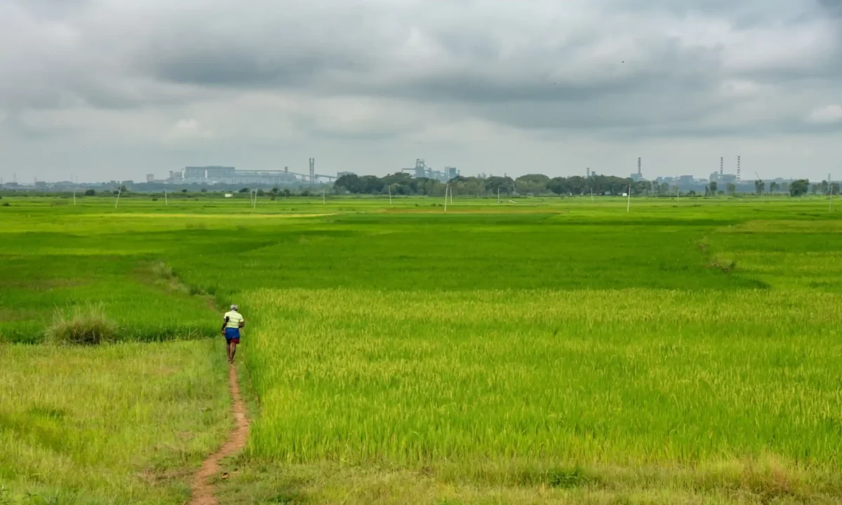 raigarh chhattisgarh twentieth cleanest city in india